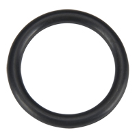 O Ring, Plain Groupe Generik