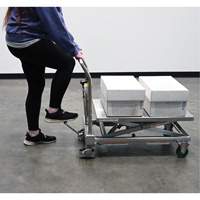 Hydraulic Scissor Lift Table, 31-1/2" L x 19-1/2" W, Stainless Steel, 550 lbs. Capacity Groupe Generik