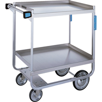 Chariots robustes &agrave; ch&acirc;ssis en U, 2 Tiers, 19-3/8" la x 34-1/2" h x 32-5/8" p, Capacit&eacute; 700 lb Groupe Generik