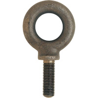 Metric Eyebolt, 51 mm Dia., 70 mm L, 11400 lbs. (5.7 tons) Capacity Groupe Generik