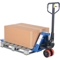 Quick Lift Pallet Truck, Steel, 48" L x 20" W, 5500 lbs. Capacity Groupe Generik