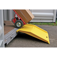 Rampe portable en poly pour contenant d'exp&eacute;dition, Capacit&eacute; de 750 lb, 35" la x 36" lo Groupe Generik