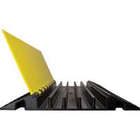 Protecteur de c&acirc;ble droit robuste Powerhouse, 5 canaux, 36" lo x 19,75" la x 2,25" h Groupe Generik