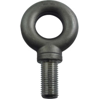 Alloy Steel Eye Bolt, 3-1/4" Dia., 4" L, 47600 lbs. (23.8 tons)/47600 lbs. Capacity Groupe Generik