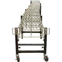 Expandable Conveyor, 18" W x 12' L, 200 lbs. per lin. ft. Capacity Groupe Generik