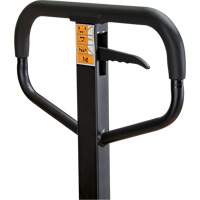 Transpalette manuel, Acier, 48" lo x 21" la, Capacit&eacute; 5500 lb Groupe Generik