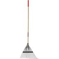 Lawn Rake, 24 Tines, Hardwood Handle, Steel Blade Groupe Generik