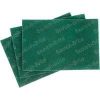 Tampons manuels Scotch-Brite, 9" lo x 6" la Groupe Generik
