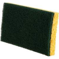&eacute;ponges utilitaires, Cellulose, 6" la x 3-1/2" l Groupe Generik