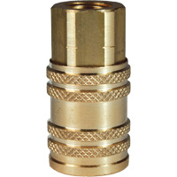 M-Series ARO Pneumatic Manual Coupler, 1/4" Groupe Generik