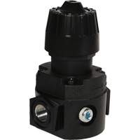 R&eacute;gulateur compact R16 Wilkerson, 1/4" NPT, PSI max. de 300 psi, Standard Groupe Generik