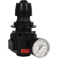 R&eacute;gulateur Wilkerson R26, 1/2" NPT, PSI max. de 300 psi, Standard Groupe Generik