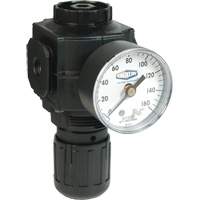 R&eacute;gulateur compact de s&eacute;rie 1, 1/2" NPT, PSI max. de 150 psi, Standard Groupe Generik
