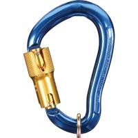 Nano-Lok Carabiner, Aluminum, 3600 lbs Capacity Groupe Generik