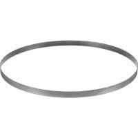 Lame de scie &agrave; ruban sans fil, Bim&eacute;tal, 32-7/8" lo x &eacute;paisseur 0,02", 14-18 dents par pouce Groupe Generik
