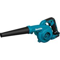 Souffleur / aspirateur sans fil (outil seulement) Groupe Generik