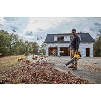 MAX* Brushless Handheld Blower (Tool Only), 20 V, 125 MPH Output, Battery Powered Groupe Generik