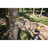 MAX* XR Cordless Polesaw Groupe Generik