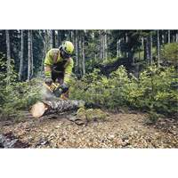 Flexvolt&reg; Cordless Chainsaw, 16", Battery Powered, 60 V Groupe Generik