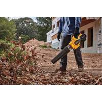 Flexvolt&reg; Brushless Handheld Axial Blower, 60 V, 125 MPH Output, Battery Powered Groupe Generik