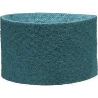 Scotch-Brite Surface Conditioning Belt Groupe Generik