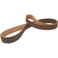 Scotch-Brite Surface Conditioning Belt Groupe Generik