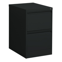 Classeur vertical, Acier, 2 tiroirs, 18-1/7" la x 25" p x 29" h, Noir Groupe Generik