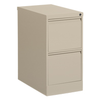 Classeur vertical, Acier, 2 tiroirs, 15-1/7" la x 25" p x 29" h, Beige Groupe Generik