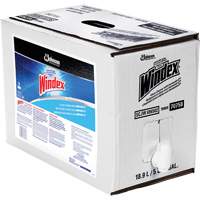 Nettoyant pour vitres Windex avec Ammoniac-D, 5 gal., Sac Groupe Generik