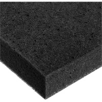 Foam Sheet, Standard, 2" Thick, 108" L x 24" W Groupe Generik