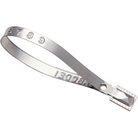 Guard Lock&reg; Seals, 8-3/8", Metal, Truck Seal Groupe Generik