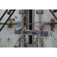 Scell&eacute;s de haute s&eacute;curit&eacute;, 12", M&eacute;tal, Scell&eacute; &agrave; c&acirc;ble Groupe Generik