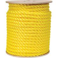 Braided Yellow Rope, Polypropylene, 300' Groupe Generik