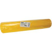 Sacs &agrave; d&eacute;chets, Biorisque, 60" lo x 36" la, 6 mils Groupe Generik