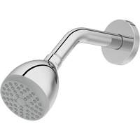One-Function Showerhead Groupe Generik