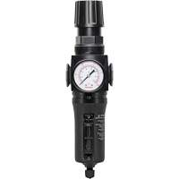 Manual Drain Filter/Regulator with Metal Bowl Modulair 300, 1/4" NPT, 250 PSI, 5.1 fl. oz. Capacity Groupe Generik