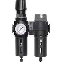 Manual Drain Filter, Regulator & Coalescing Filter with Standard Bowl Modulair 300, 1/4" NPT, 150 PSI, 5.1 fl. oz. Capacity Groupe Generik