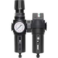 Filter/Regulator & Coalescing Filter Modulair 300 with Standard Bowl & Manual Drain, 3/8" NPTF, 150 PSI, 5.12 fl. oz. Capacity Groupe Generik