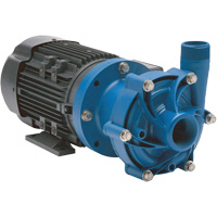 Magnetic Drive Pump with Carbon Bushing Groupe Generik