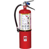 Fire Extinguisher, ABC, 10 lbs. Capacity Groupe Generik