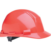 Casque de s&eacute;curit&eacute; North The Matterhorn A89, R&eacute;pond aux normes CSA type 2, Suspension Rochet, Non ventil&eacute; Groupe Generik