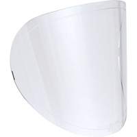 Replacement Lenses Groupe Generik