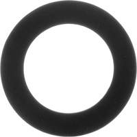 Replacement Gaskets for Inhalation Valves Groupe Generik