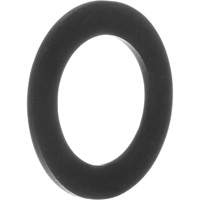 Replacement Gaskets for Inhalation Valves Groupe Generik