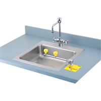Poste de douche oculaire Swing-Away, Installation Montage sur comptoir Groupe Generik
