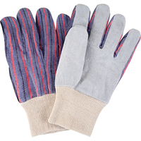 Gants de travail d'usage standard, Grand, Paume en Cuir de vache refendu Groupe Generik
