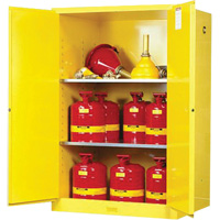 Armoires Sure-Grip EX pour produits inflammables, 90 gal., 2 Porte(s), 43" La x 65" h x 34" p Groupe Generik