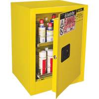 Armoire de s&eacute;curit&eacute; d'&eacute;tabli pour produits inflammables EX Sure-Grip, 24 gal., 1 Porte(s), 21" La x 27" h x 18" p Groupe Generik