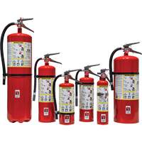 Fire Extinguisher, ABC, 30 lbs. Capacity Groupe Generik