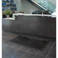 Tapis &agrave; profil bas, Caoutchouc, Grattoir Type, Motif Plein, 3' x 5', Noir Groupe Generik